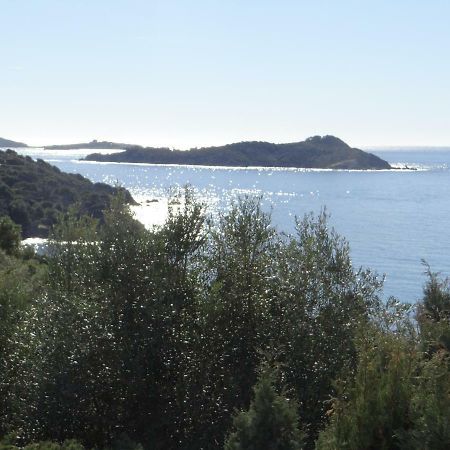 Appartement T2 50M² Vue Mer Presqu'Il De Giens. Rc Hyères Exterior foto