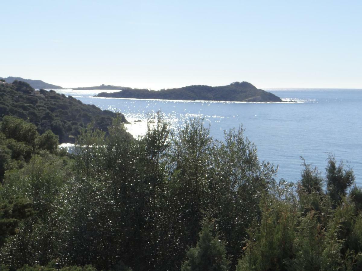 Appartement T2 50M² Vue Mer Presqu'Il De Giens. Rc Hyères Exterior foto